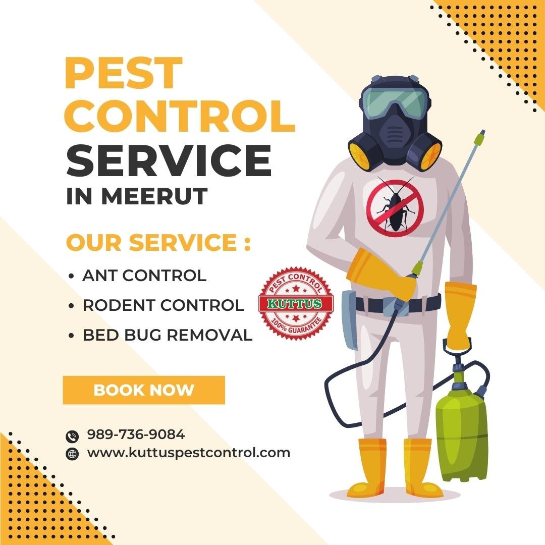Effective Pest Control Services in Shastri Nagar Meerut